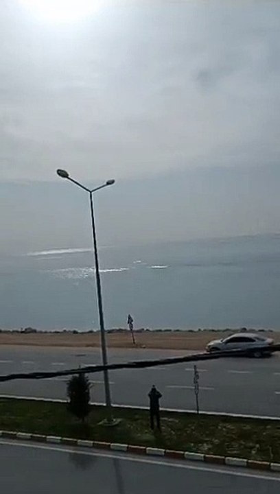 Van Gölü canavarı yeniden ortaya çıktı