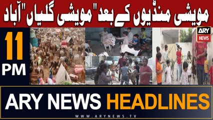 ARY News 11 PM Headlines 28th June |    ...