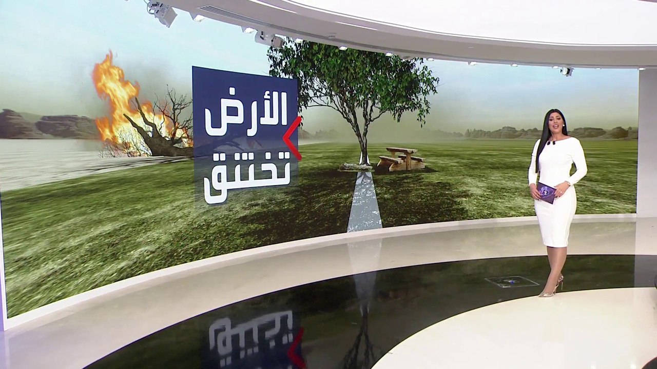 التاسعة هذا المساء | منصة عالمية متخصصة: تسجيل تدمير أكثر من 4.1 هكتار من الغابات الأولية الاستوائية