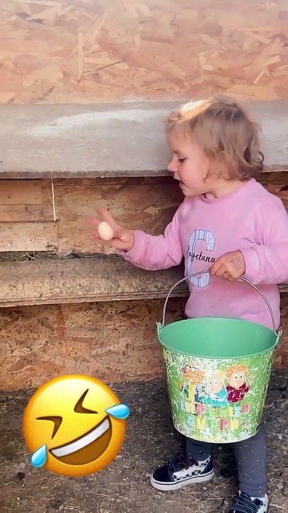 Less Than Gentle Egg Collecting