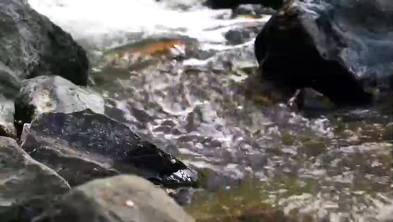 10 Minutes Calm Soothing Water Sounds, Chimes and birds for Meditation, Relaxation Music, Stress