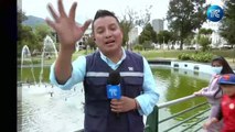 Roban peces en parque La Alameda, Quito