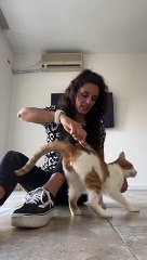 Roger Gets Mad When Grooming Is Finished