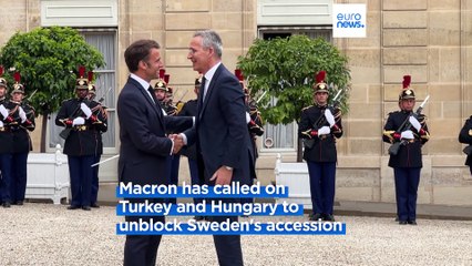 Head of NATO meets Macron as Sweden still blocked from joining