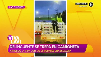 Delincuente se trepa a camioneta para robar escalera