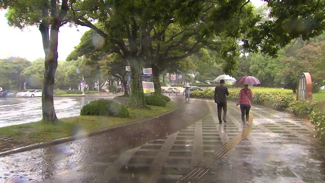 [날씨] 오늘 전국 장맛비...중부 시간당 30∼60mm 국지성 호우 유의 / YTN