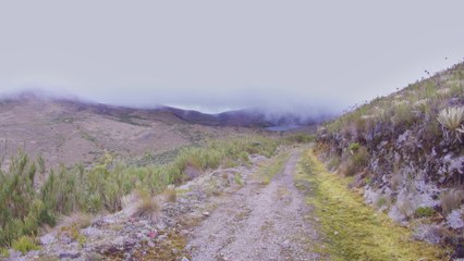 White Sounds - White Sounds - High Andes Wind: Focus And Introspection