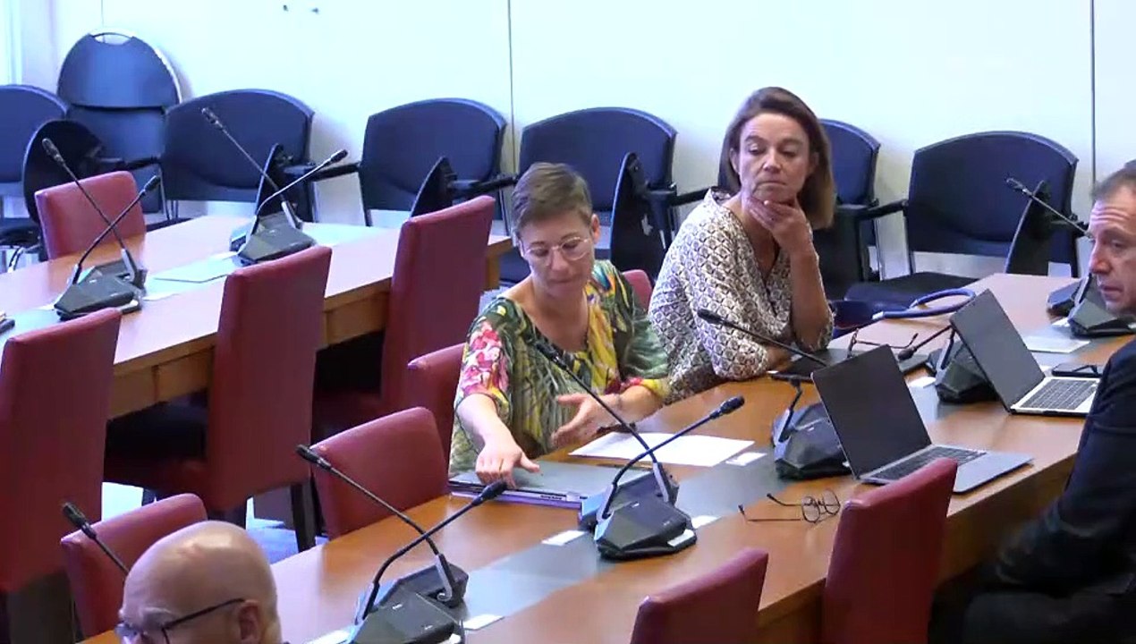 Commission des finances : Mme Marie-Anne Barbat-Layani, présidente de l’Autorité des marchés financiers ; M. Jean Pisani Ferry et Mme Selma Mahfouz, auteurs du rapport les incidences économiques de l’action pour le climat - Mercredi 28 juin 2023