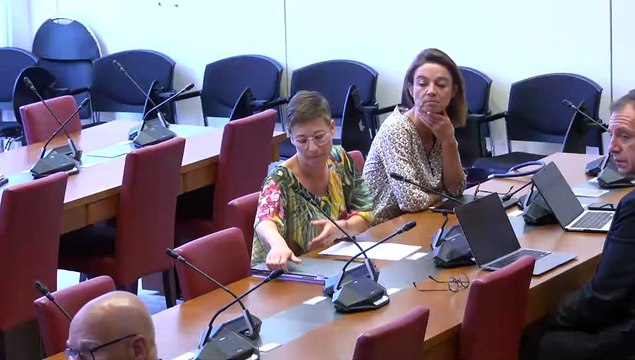 Commission des finances : Mme Marie-Anne Barbat-Layani, présidente de l’Autorité des marchés financiers ; M. Jean Pisani Ferry et Mme Selma Mahfouz, auteurs du rapport les incidences économiques de l’action pour le climat - Mercredi 28 juin 2023