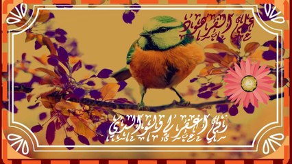 تلاوات مؤثرة من القران الكريم ق