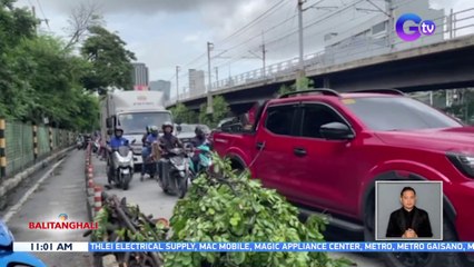 Puno ng narra, natumba sa bahagi ng EDSA-Corinthians sa Quezon City; 2 sugatan | BT