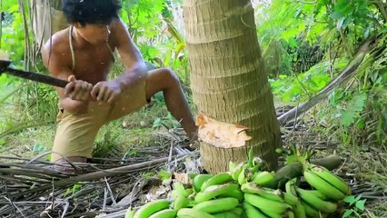 Find worms in coconut tree , Cook Coconut worm Fillets delicious