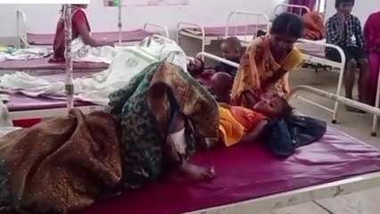 जहानाबाद: महिला, बच्चे सहित तीन की हालत गंभीर, अस्पताल में भर्ती