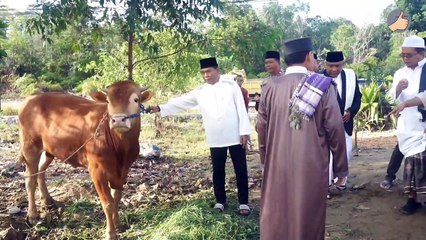 Gubernur Kaltara Shalat Idul Adha di Masjid Al aqsa Tanjung Selor