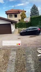 Perrito conmueve por su reacción al ver a su dueño 3 años después