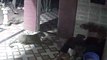Dog vs Leopard: Brave canine fights off big cat trying to sneak into owner's home