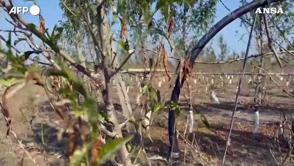 Dall'Ue 60 milioni all'Italia per alluvione e siccita'