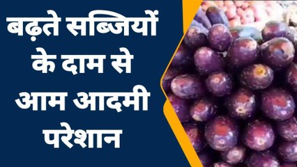 जालौन: सेव से भी ज्यादा लाल हुआ टमाटर, दाम सुन उड़ जाएंगे होश