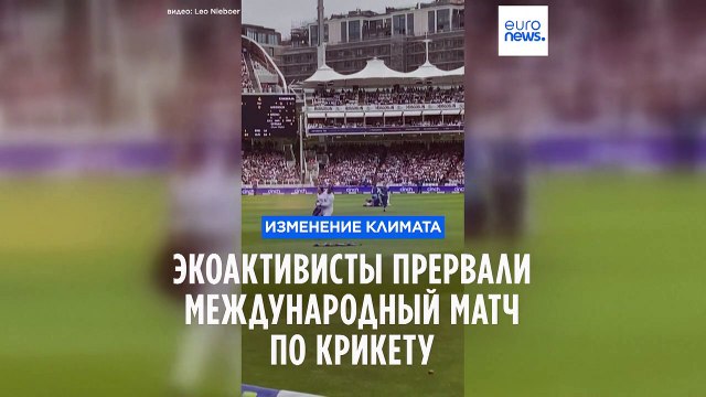 Лондон: экоактивисты прервали международный матч по крикету