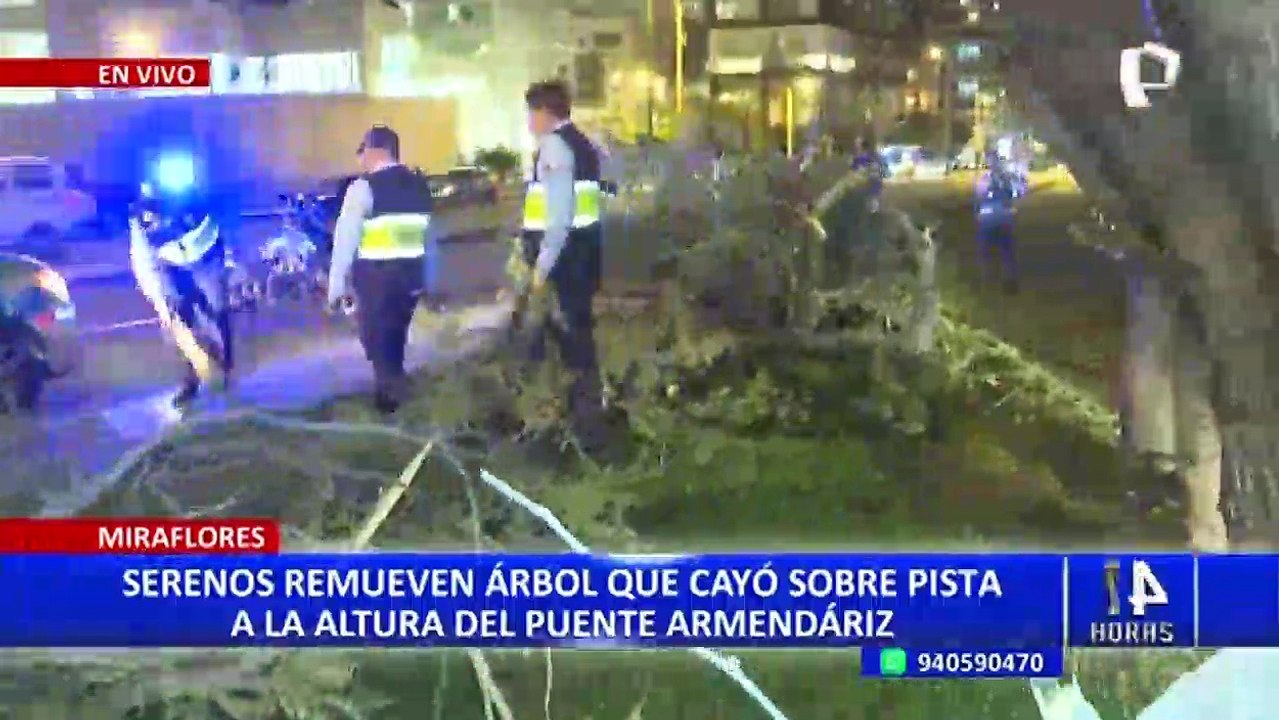 Miraflores: cayó árbol a la altura del puente Armendáriz