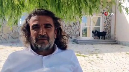 Yavru yaban keçisi süt annesine alıştı