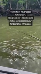 Ce pêcheur se rince les mains dans l'eau et se fait mordre violemment par un requin (Vidéo)