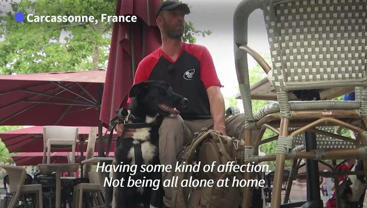 Man's best friend: Program pairs wounded soldiers with abused dogs