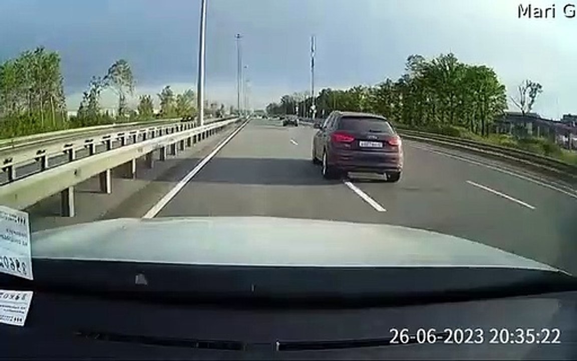 Une voiture aide une famille de canards hors route