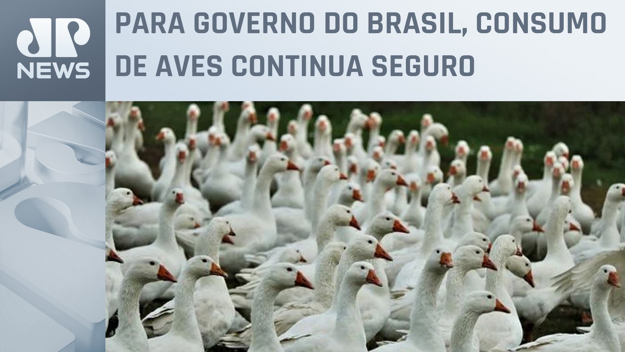 Japão suspende temporariamente compras de carne de aves do Espírito Santo após caso de gripe aviária
