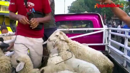 Kurban Online Jadi Pilihan Warga Muslim Indonesia di New York
