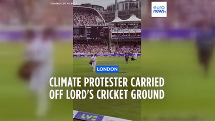 Cricketer carries Just Stop Oil protester off  Lord's Cricket Ground