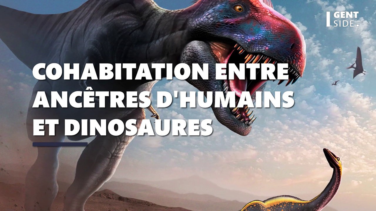 Les ancêtres des humains auraient coexisté avec les dinosaures, selon une nouvelle étude