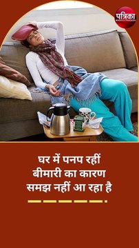 मानसून में घर में बढ रहीं हैं ये समस्या और पनप रही है बीमारी?
