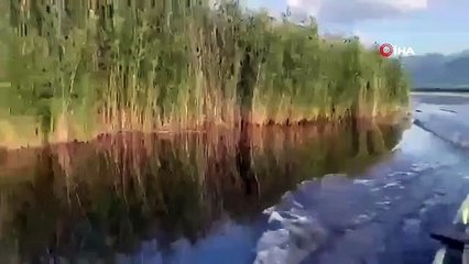 Avec la montée du niveau d'eau dans le lac Eber, les îlots sont devenus proéminents