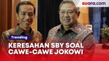 Keresahan SBY di Buku 'Pilpres 2024 & Cawe-Cawe Jokowi': Isu Jegal Anies sampai PK Moeldoko