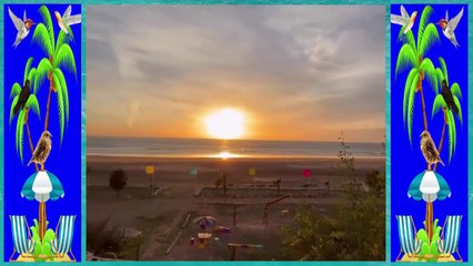 La plage de Taghazout _ nord d’Agadir ⛱️  اغادير تغازوت_الشمس والشاطئ