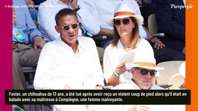Pitié... : Julien Courbet scandalisé par un grave acte de cruauté, une plainte déposée
