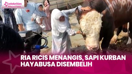 Ria Ricis Menangis, Sapi Kurban Hayabusa Disembelih
