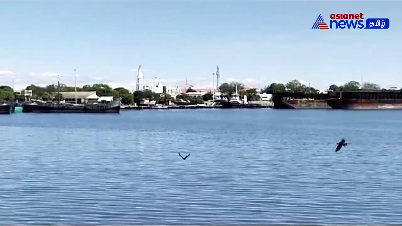 VIDEO | தூத்துக்குடியில் ''சாகர் கவாஜ்'' கடல் பாதுகாப்பு ஒத்திகை! 