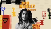 Bob Marley & The Wailers - Three Little Birds (Oxlade Visualiser)