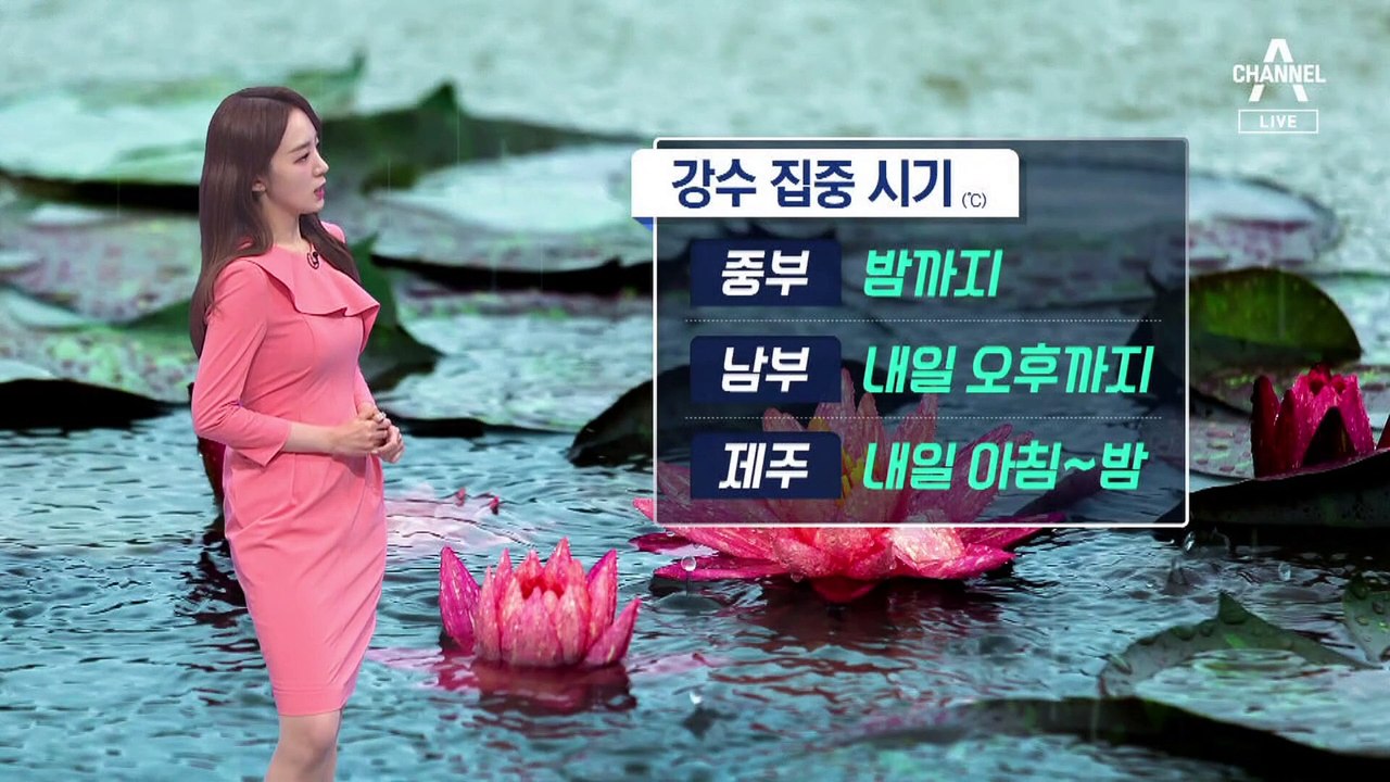 [날씨]내일까지 장맛비…남부·제주 집중호우 주의