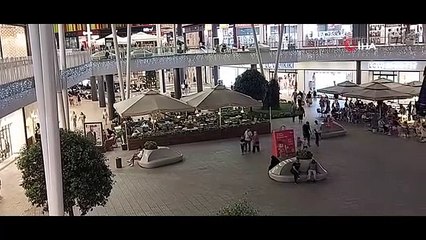 Infestation de moustiques à Kocaeli