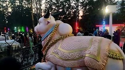 सावन के दूसरे सोमवार हरियाली व सोमवती अमावस्या का संयोग
