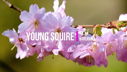 Young Squire - TrackTribe  Alternative Music, Happy Music, Travel Music