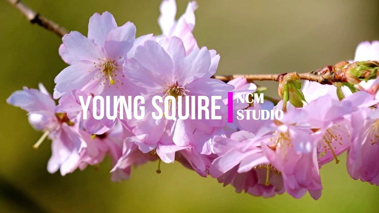 Young Squire - TrackTribe  Alternative Music, Happy Music, Travel Music