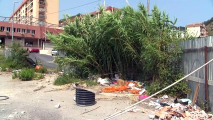 Bisconte, l'area sbaraccata è da bonificare con urgenza