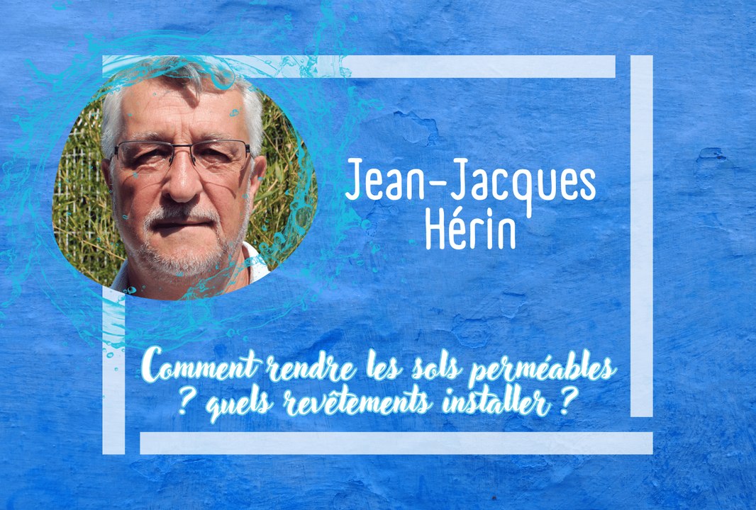 Jean Jacques Herin
