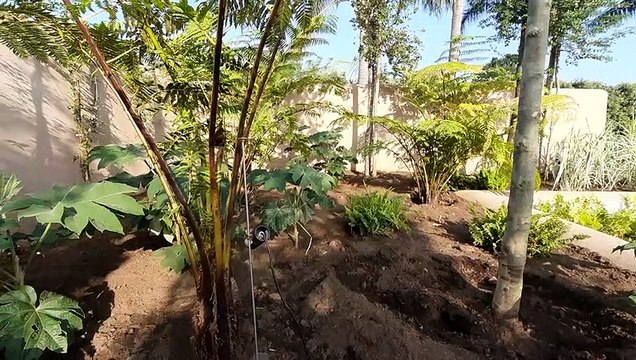 Al Radicepura Garden Festival di Giarre inaugurato il giardino di Vento e Acqua