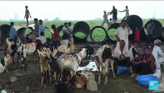 India islamophobia: Muslims fear rise of religious hatred during Eid celebrations