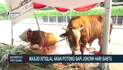 Tải video: Panitia Kurban Masjid Istiqlal Akan Potong Sapi Presiden Jokowi & Wapres Maruf Amin Sabtu Ini!